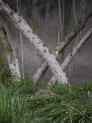 FCDD726D-C126-4B38-BB59-71DED8FAD773/L0/001
