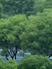 02151B18-EDA1-4528-9F67-2E9FC30F6AEE/L0/001