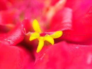 8C8B526A-5546-44D2-B8B0-64195E22D947/L0/001