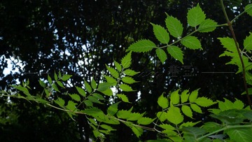 BCC3E9FA-A5AC-439C-995D-2B6D01745F8F/L0/001