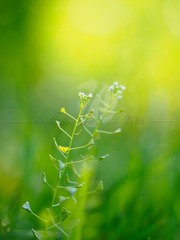 6DB0F218-05FF-49BF-BC3A-866E18829269/L0/001