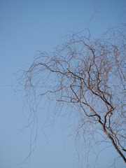 AC2B4D85-42D4-4AFD-A577-E52901B58E55/L0/001