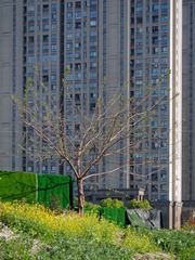 AC0CEF97-F80D-48AF-9638-8EA1749423FA/L0/001