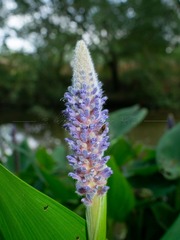 79491D4C-8393-4CDB-BCC8-88609F04BF41/L0/001