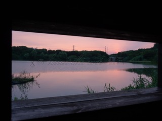 054DF5B3-4BA6-4731-8A60-E94719DE4C71/L0/001