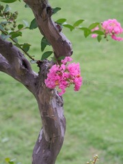 77871DC1-B0FF-4D65-928E-20F9FB0FF6A4/L0/001