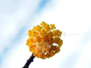 DE57B1E1-4229-4CE7-AF80-C8079126F3D8/L0/001