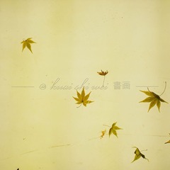 769118EF-E0F9-4326-BDCB-2270E6528643/L0/001