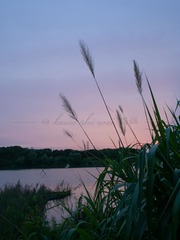 B87DDA00-FD5B-4DF3-9A52-7980E0CBE85B/L0/001