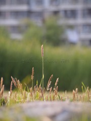 1DC7FFF7-0C5E-453B-BD00-CB3AA5650BAF/L0/001