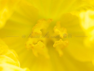 53F1A43E-6E2C-414F-A4E4-1B23FB917298/L0/001