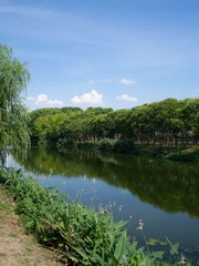 509D10CE-CA7C-4751-B599-95D311E8261B/L0/001