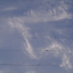 EF023812-6AE6-4499-8031-0975CA373610/L0/001