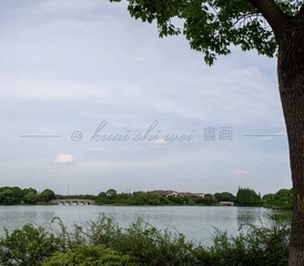 0E2AF8F7-0270-4D94-BCF4-DDA7E5ED9677/L0/001