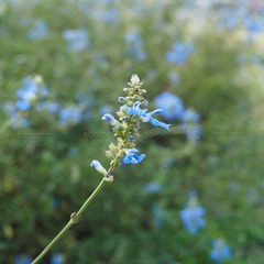 C71E3AAB-2A94-4236-96C2-A11104CFCF5F/L0/001