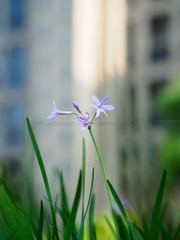 DF8B3DC1-C480-42C0-9ABB-57780724618F/L0/001