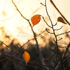 7C5A446B-F7AA-40EF-A1AD-8B9BA20A9782/L0/001