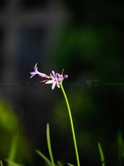 F403376B-4DF3-44DF-AB10-C0908AE62618/L0/001