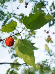 A66C7700-AA5B-4D21-B1B8-9208BC65CCD2/L0/001