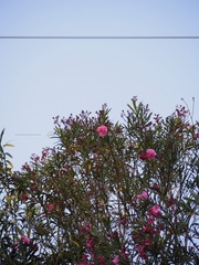 08301092-266D-4048-BC56-122B42992D49/L0/001