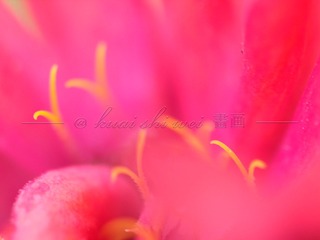 559400F1-F544-44C0-BB1D-F3A20AE94970/L0/001