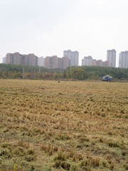 B01319DB-D493-43E1-816A-B792BA1F8635/L0/001