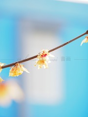 BC23440F-913A-426E-B448-55398DF87AB1/L0/001