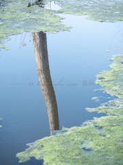 FBEEAC6B-3D80-44E7-B83F-8BD65A2DAE45/L0/001