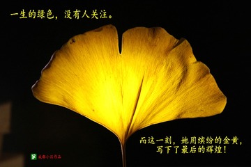最后的辉煌  周裕君 (2)