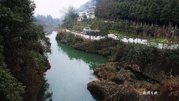 凤栖山风光3
