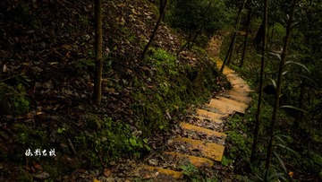 凤栖山风光8