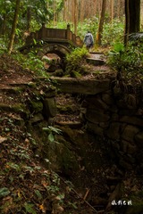凤栖山风光9