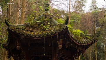 凤栖山古寺5