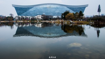 1003-1