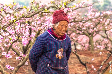 贾家镇桃花007