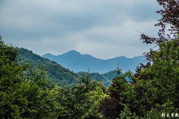 青城山012-2