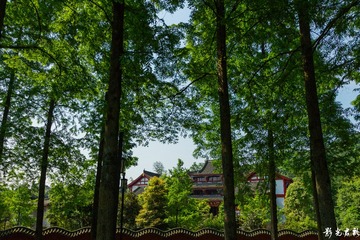 青城山013-1