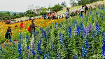 漫花庄园002