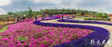 漫花庄园015