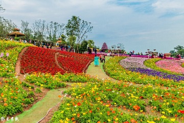 漫花庄园034