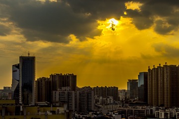 棕榈花园-8
