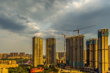 棕榈花园-14