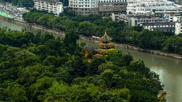 望江 橡树林-23