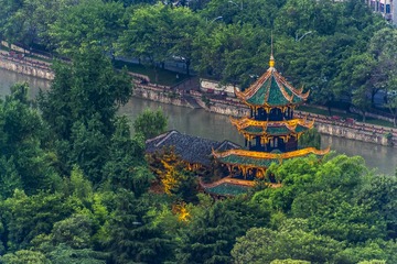 望江 橡树林-6