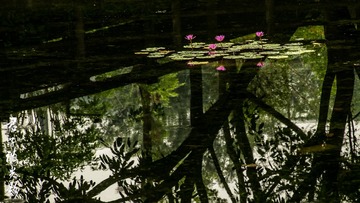 塔子山公园、西村-1