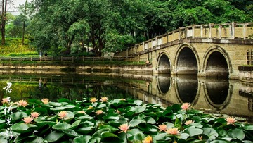 塔子山公园、西村-4