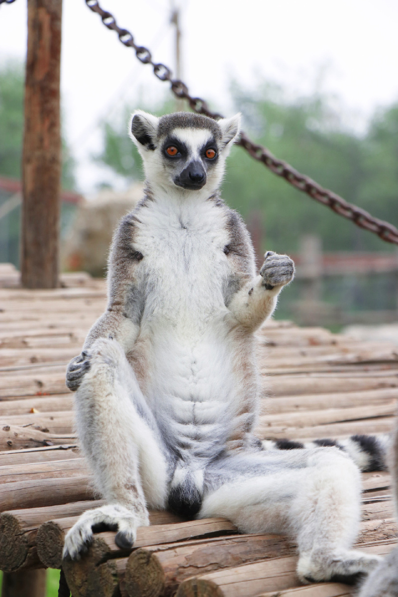 打坐- 盛波123 - 图虫