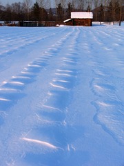 内蒙古北部边疆额尔古纳印象，冬季，农家白雪覆盖的菜地和房舍。