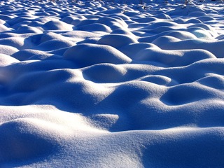 大兴安岭林区湿地冬季风光，塔头被雪覆盖后形成雪包，如人的肌体。001