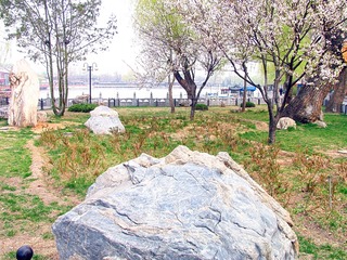 北京市－－什刹海畔的春季景致（摄于2004年5月）